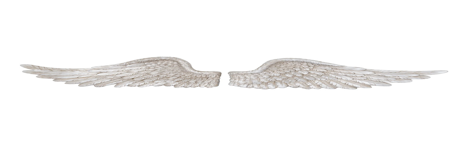 collection-banner-image